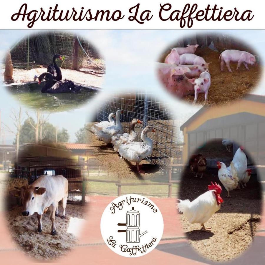 Willa Agriturismo La Caffettiera Sparanise Zewnętrze zdjęcie